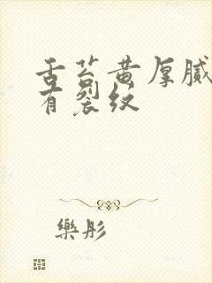 舌苔黄厚腻中间有裂纹