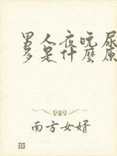 男人夜晚尿频尿多是什么原因