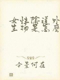 女性阴道外起赘生物是怎么回事