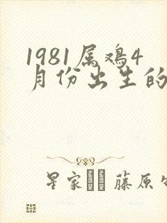 1981属鸡4月份出生的命运