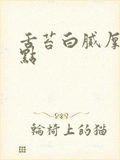 舌苔白腻厚有红点