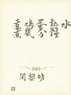 煮鸡蛋热水下锅煮几分钟