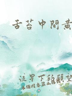 舌苔中间黄厚腻