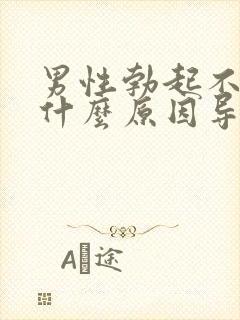 男性勃起不坚是什么原因导致