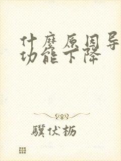 什么原因导致性功能下降