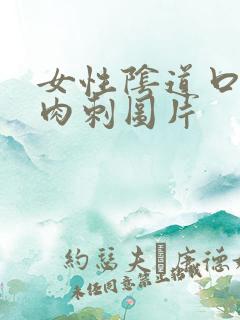 女性阴道口长小肉刺图片