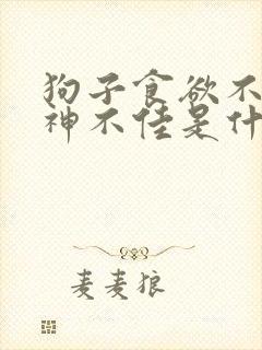 狗子食欲不振精神不佳是什么情况