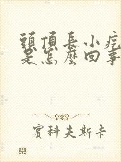 头顶长小疙瘩痒是怎么回事