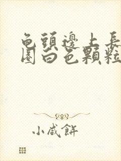 龟头边上长了一圈白色颗粒