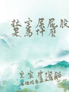 拉完屎屁股眼疼是为什么