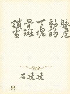 锁骨下动脉起始处斑块的危害