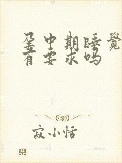 孕中期睡觉姿势有要求吗