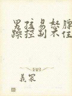 男孩易怒脾气暴躁控制不住