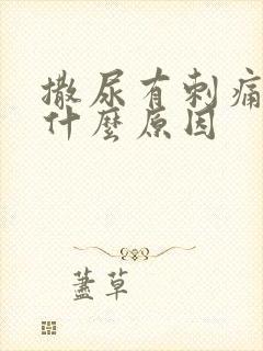 撒尿有刺痛感是什么原因