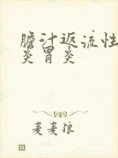 胆汁返流性食管炎胃炎