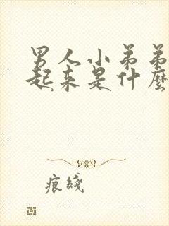 男人小弟弟硬不起来是什么原因