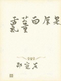 舌苔白厚是有湿气重