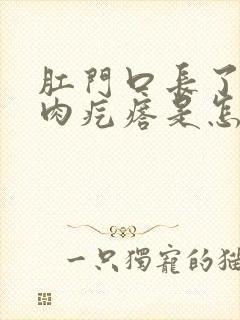 肛门口长了两个肉疙瘩是怎么回事