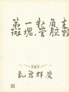 第一对角支钙化斑块,管腔轻度狭窄