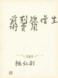 前列腺增生电切术费用