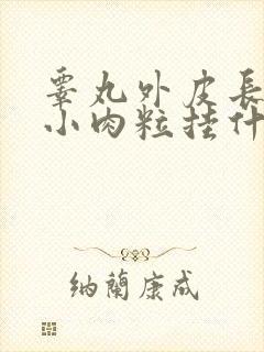 睾丸外皮长了个小肉粒挂什么科