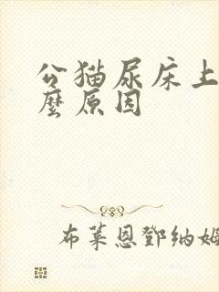 公猫尿床上是什么原因