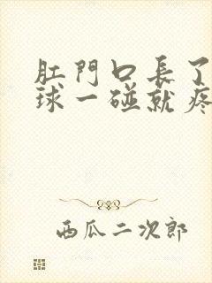 肛门口长了个肉球一碰就疼