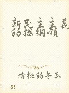 新民主主义革命的总纲领