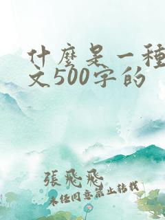 什么是一种美作文500字的