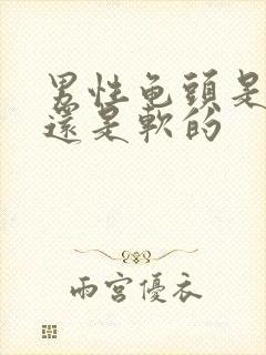 男性龟头是硬的还是软的