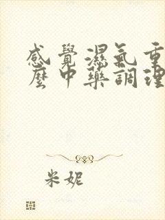 感觉湿气重吃什么中药调理