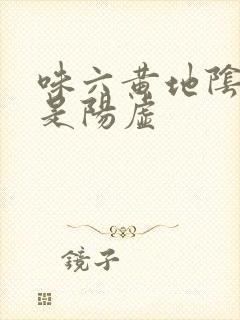 味六黄地阴虚还是阳虚