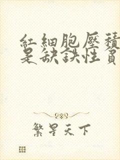 红细胞压积偏低是缺铁性贫血吗