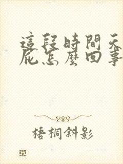 这段时间天天放屁怎么回事