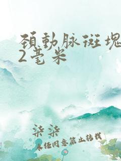 颈动脉斑块2.2毫米