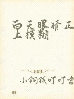 白天眼睛正常晚上模糊