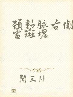 颈动脉右侧分叉处斑块