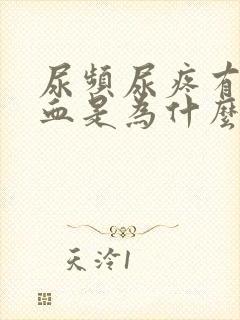 尿频尿疼有点出血是为什么