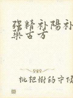 强精补阳补肾中药古方