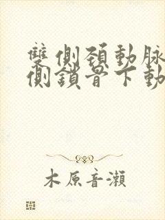 双侧颈动脉,右侧锁骨下动脉斑块