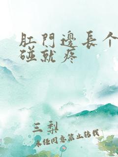 肛门边长个包一碰就疼