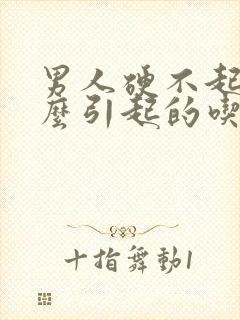 男人硬不起是怎么引起的吃什么药