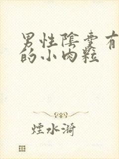 男性阴囊有红色的小肉粒