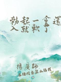 勃起一会还没插入就软了