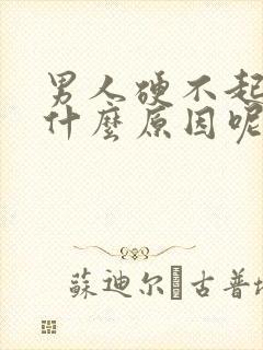 男人硬不起来是什么原因呢