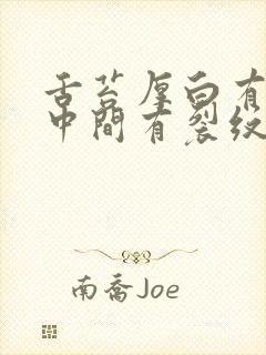 舌苔厚白有齿痕中间有裂纹