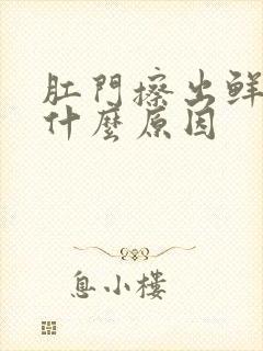 肛门擦出鲜血是什么原因