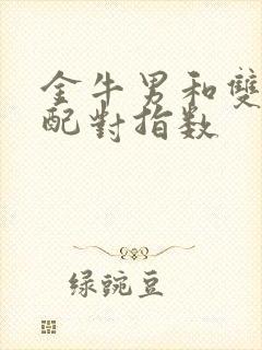 金牛男和双子女配对指数