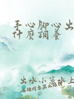 手心脚心出汗吃什么调养