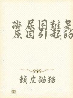 排尿困难是什么原因引起的